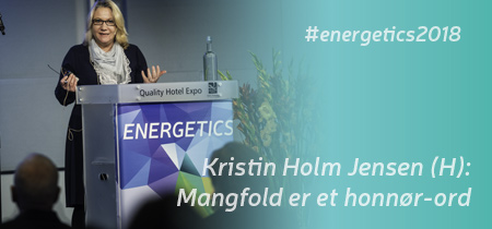 Kristin Holm Jensen på Eneregtics 2018